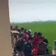 Perangkat Desa Kalipancur Ditemukan Tewas di Sawah, Polisi Amankan Batu dan Gagang Celurit