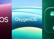 Rumor Terbaru: Realme UI dan OxygenOS Bakal Digabung Menjadi ColorOS? 14 Rumor Baru Industri Smartphone: ColorOS Disebut Akan Menggantikan Realme UI dan OxygenOS