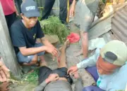 Tukang Gali Tewas Setelah Terjatuh ke Sumur Sedalam 12 Meter di Bali