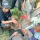 Tukang Gali Sumur Tewas Usai Terjatuh ke Kedalaman 12 Meter di Buleleng