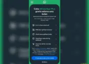WhatsApp Plus Resmi Hadir di Indonesia, Berapa Harga Langganannya?