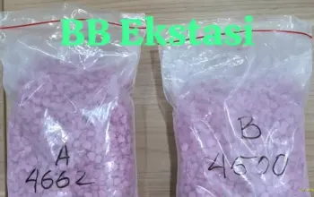 Kurir Ekstasi Jaringan Malaysia-Medan Baru Direkrut Sehari, Dijanjikan Upah Rp700 Ribu 9 Kurir Ekstasi Jaringan Malaysia Medan Baru Sehari Direkrut Dijanjikan Upah Rp700 Ribu