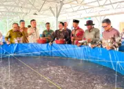 Pemkab Tubaba Apresiasi Program Budidaya Lele Bioflok PLN Lampung, Perkuat Ketahanan Pangan dan Ekonomi Warga
