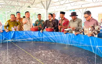 Pemkab Tubaba Apresiasi Program Budidaya Lele Bioflok PLN Lampung, Perkuat Ketahanan Pangan dan Ekonomi Warga