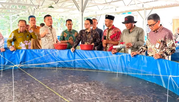 Pemkab Tubaba Apresiasi Program Budidaya Lele Bioflok PLN Lampung, Perkuat Ketahanan Pangan dan Ekonomi Warga